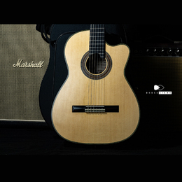 Shunpei Nishino (西野春平) NR.3 CWE 650mm “Spruce Top” Brush eight Selected with Super Light Case