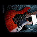 【SOLD】FREEDOM CUSTOM GUITAR RESEARCH Hydra 22F  5A Flame Maple Top “YBC”