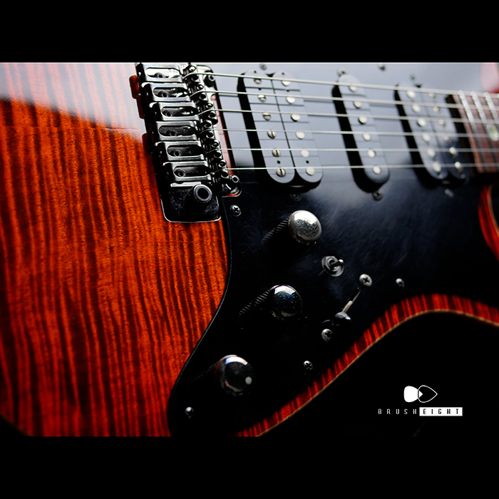 【SOLD】FREEDOM CUSTOM GUITAR RESEARCH Hydra 22F  5A Flame Maple Top “YBC”