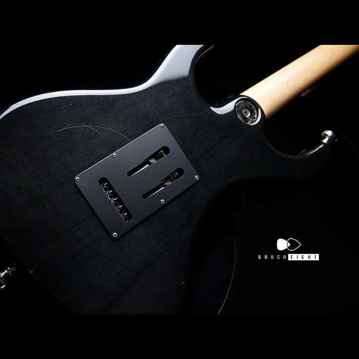【SOLD】FREEDOM CUSTOM GUITAR RESEARCH Hydra 22F  5A Flame Maple Top “YBC”