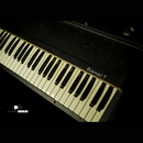 HOHNER  PIANET-T