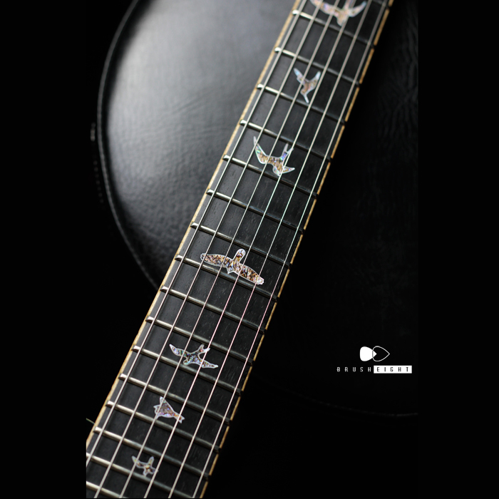 【SOLD】PRS "Private Stock"Neal Schon 14s 24frets