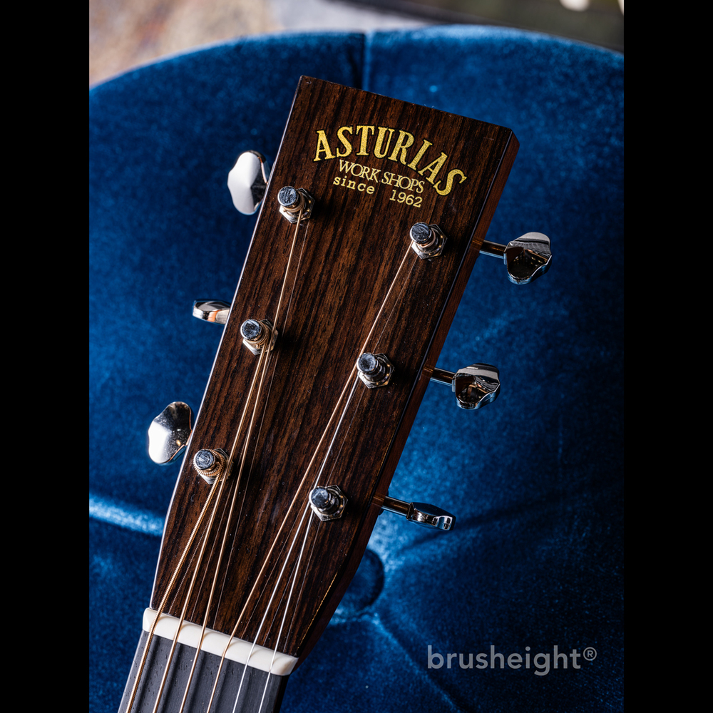 【ご予約商品】ASTURIAS “TRAD OM” Reverence Super Selected with FISHMAN Ellipse Matrix Blend