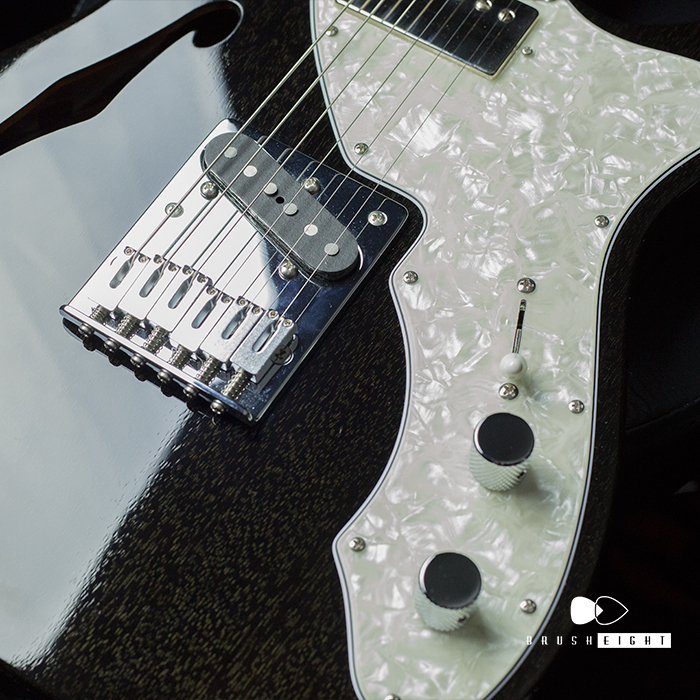 【SOLD】FREEDOM CUSTOM GUITAR RESEARCH  Black Pepper  "Black Lacquer" 2014's