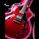 【SOLD】Gibson ES-335 Dot Cherry Red 1994’s