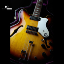 【SOLD】Epiphone 1969's E360TD Riviera FullOriginal