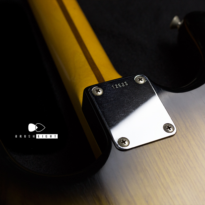 【SOLD】Seymour Duncan Professional series  DS-250Pro