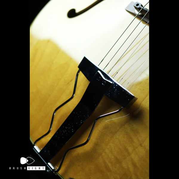 【SOLD】Archtop Tribute AT102