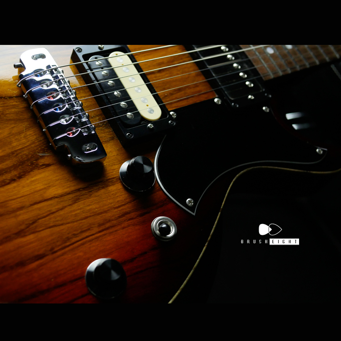 【SOLD】T's Guitars Vena 22 AshTop Custom  “SunBurst”