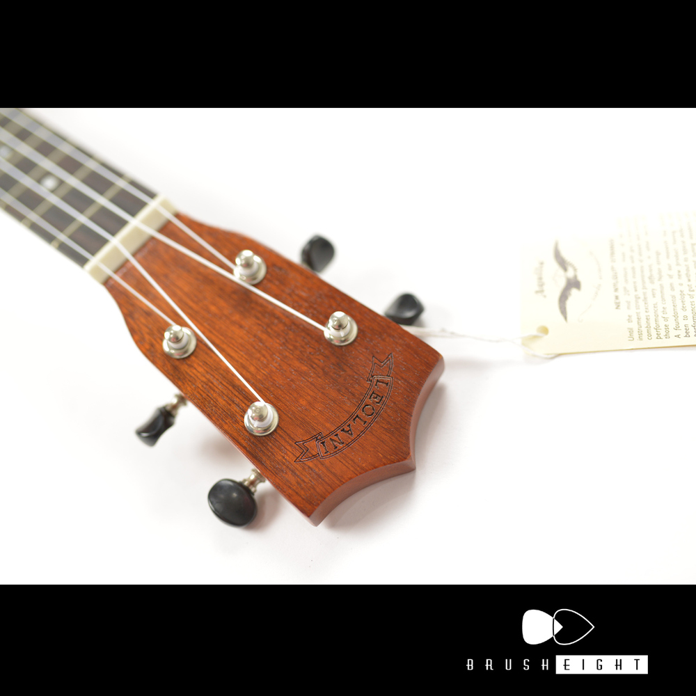 【SOLD】LEOLANI LM-2SL Long Neck