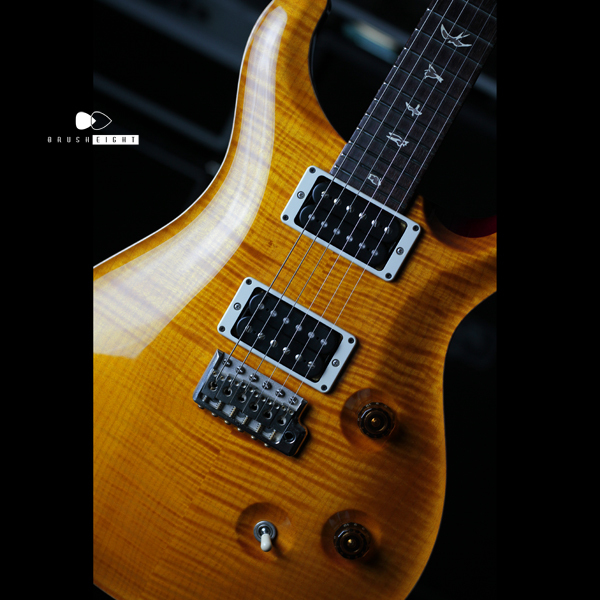 【SOLD】PRS Paul Reed Smith Custom24　2011's