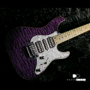 【SOLD】SCHECTER SD-II-24-AS PVR/M