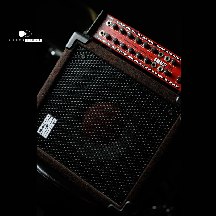 【SOLD】WALTER WOODS MI200-8  wiht /HardCase (300watts)