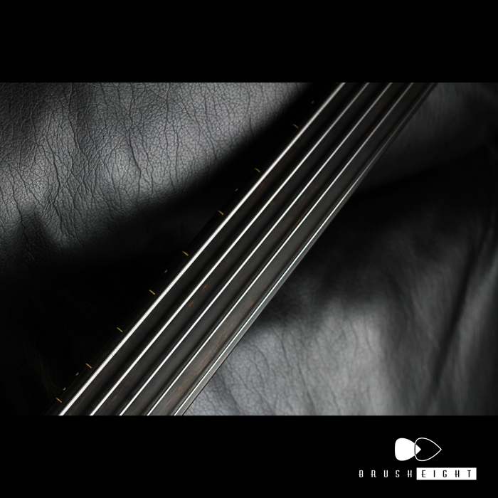 【SOLD】Godin A5 Ultra Fretless 2012's