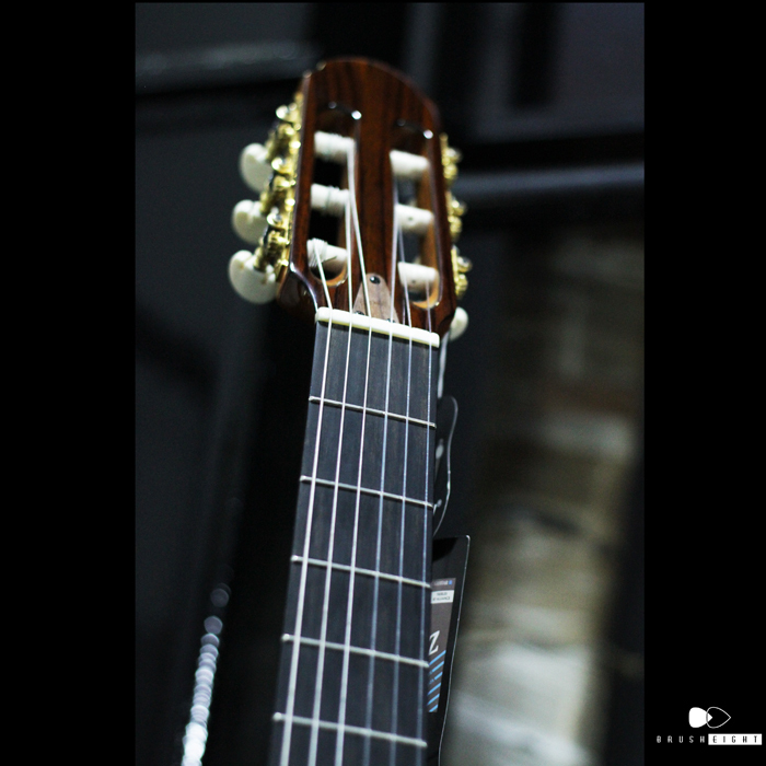 【SOLD】Martinez MSCC-14RS /EB 6本限定モデル!×Brush eight特注