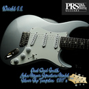 【SOLD】Paul Reed Smith(PRS) John Mayer Signature Model Silver Sky Tungsten  2019’s